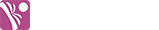Novel  Web 